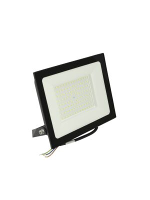 Reflector LED 100W PNI